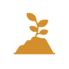 Soil Health